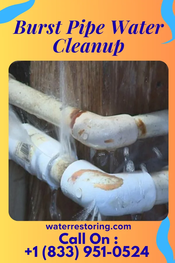 Burst Pipe Water Cleanup in Minneapolis, MN