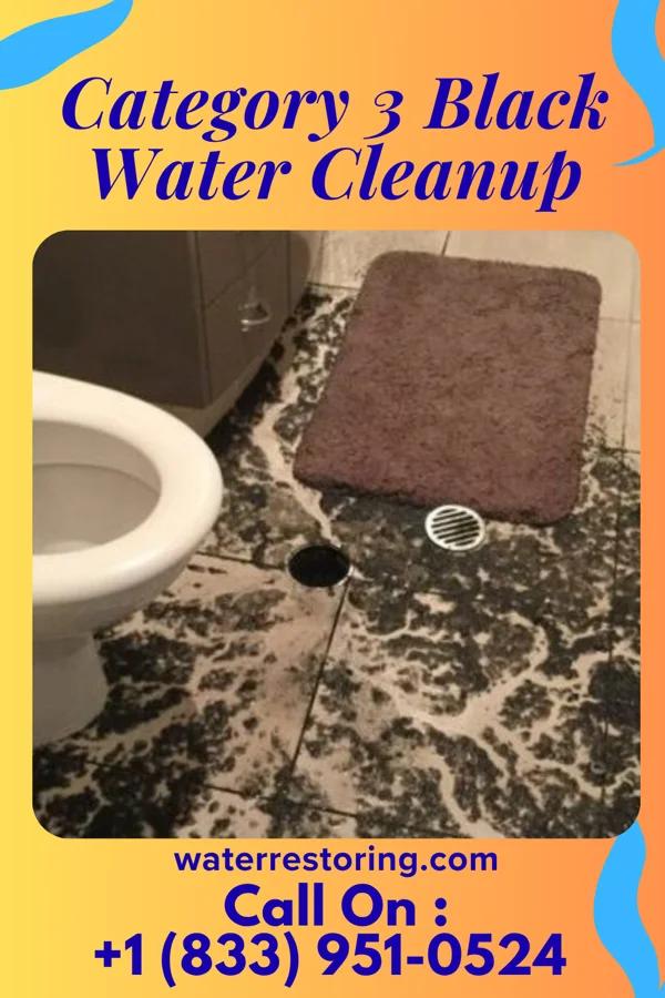 Category 3 Black Water Cleanup in Minneapolis, MN