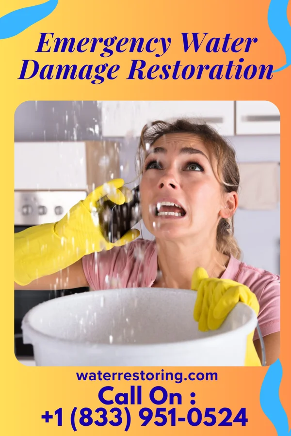 Emergency Water Damage Restoration in Minneapolis, MN